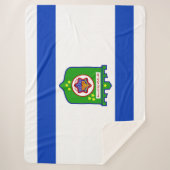 テルアビブ(イスラエル)市旗 シェルパブランケット (正面)