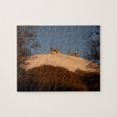 テルミロ ジグソーパズル (横)