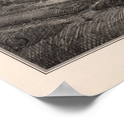 テレグラフヒルが提案した建築トリートメント ポスター (角)