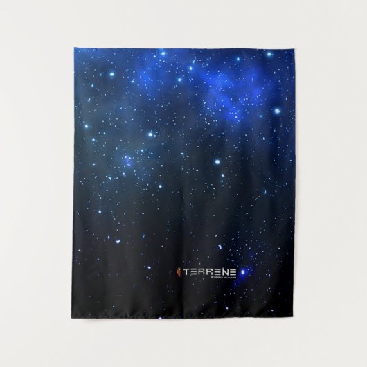 テレネタペストリー タペストリー (正面)