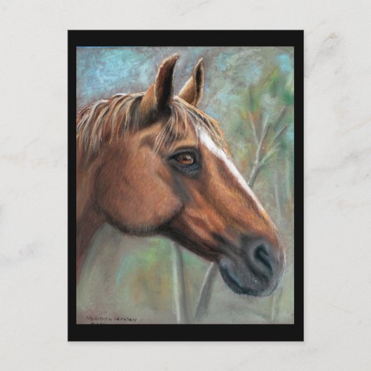 テレパステルポートレートポストカード ポストカード (正面)