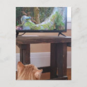 テレビを見るかわいいジンジャー子猫 ポストカード (正面)