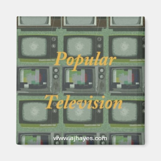 テレビ人気があるマグネット マグネット (正面)