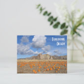 テレボンヌ·パンプキンス ポストカード (スタンド正面)