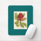 テロピーススペコシシメイワラタ マウスパッド (マウス)