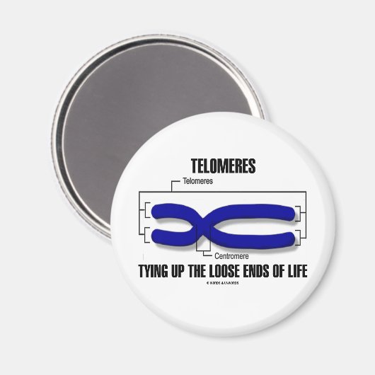 テロメアが人生の自由な終わりを結び付ける マグネット (正面/裏面)