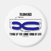 テロメアが人生の自由な終わりを結び付ける マグネット (正面)