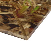 テングタケ属のCaesareaのきのこのガラスまな板 カッティングボード (角)