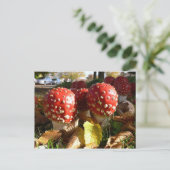 テングタケ属のmuscaria ポストカード (スタンド正面)