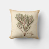 テングハーブ クッション (正面)