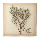 テングハーブ タイル (正面)