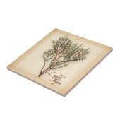 テングハーブ タイル (側面)