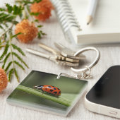 テンジウムシ キーホルダー (正面右)