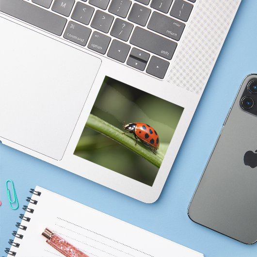 テンジウムシ シール (ノートパソコンとiPhone)