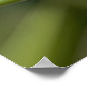 テンジウムシ ポスター (角)