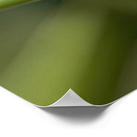 テンジウムシ ポスター (角)