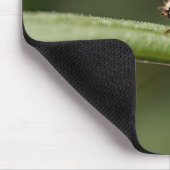 テンジウムシ マウスパッド (コーナー)