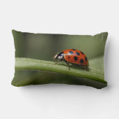 テンジウムシ ランバークッション (裏面)