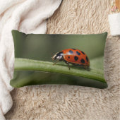 テンジウムシ ランバークッション (ブランケット)