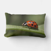 テンジウムシ ランバークッション (正面)