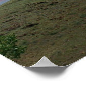 テンダーフットヒル(米国国旗あり) ポスター (角)