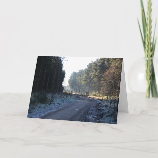 テンツムイア森林 シーズンカード (正面)