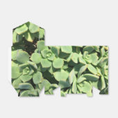 テントのスタイル優先ボックス – 緑の多肉植物 フェイバーボックス (折り畳みなし)