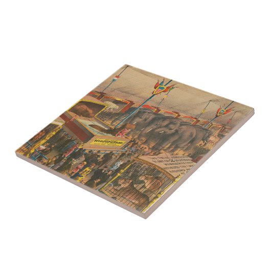 テントの中で展示される動物のサーカスのポスター タイル (側面)