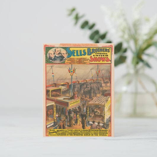 テントの中で展示される動物のサーカスのポスター ポストカード (スタンド正面)