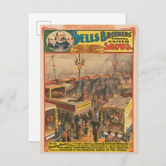テントの中で展示される動物のサーカスのポスター ポストカード (正面/裏面)