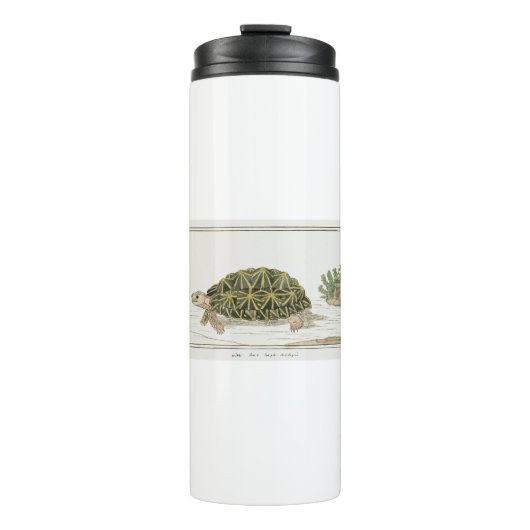 テントカメ | カメビーチ海獣 タンブラー (正面)