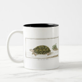 テントカメ | カメビーチ海獣 ツートーンマグカップ