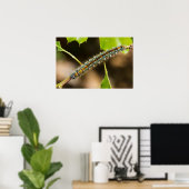 テントキャタピラーウォールアート ポスター (ホームオフィス)