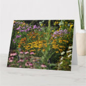 テント園のベンチ カード (正面)