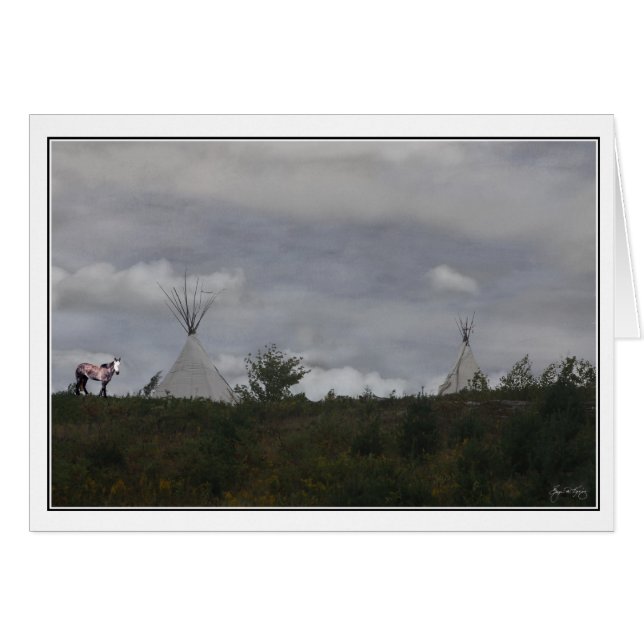 テント小屋を持つ精神の子馬 (正面横)