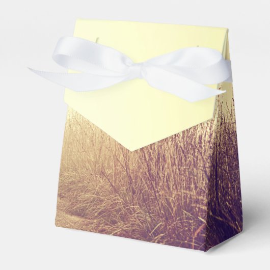 テント紙優先ボックスサンライズパスウェイパス フェイバーボックス (正面サイド)