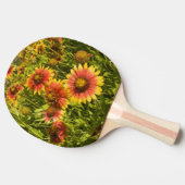 テンニンギク(Gaillardia pulchella)の野花 卓球ラケット (横)