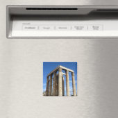 テンプルゼウス マグネット (インサイチュ (食洗機))