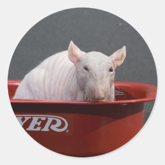 テンプルトン ラウンドシール