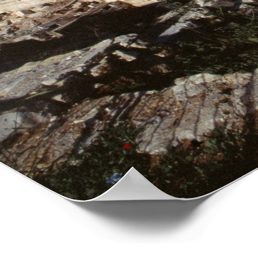 テンプル山 ポスター (角)