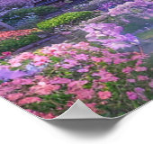 テンプル桜の木 ポスター (角)