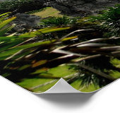 テンプル，トゥルム，メキシコ ポスター (角)