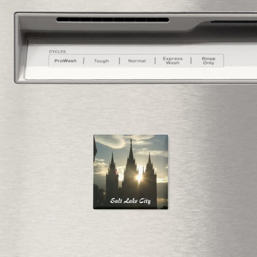 テンプル マグネット (インサイチュ (食洗機))