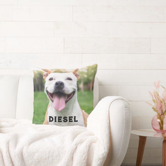 テンプレート犬または猫のペットロス クッション (ソファ)