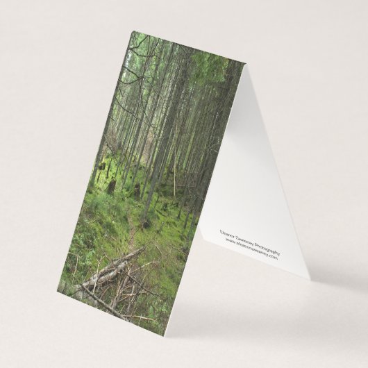 テンプレート (正面)