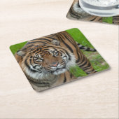 テンプレート スクエアペーパーコースター (アングル)