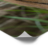 テンプレート ポスター (角)