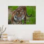 テンプレート ポスター (キッチン)