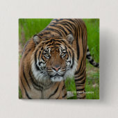 テンプレート 缶バッジ (正面)