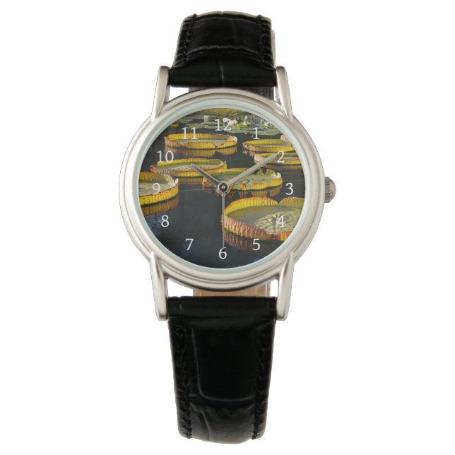 テンプレート 腕時計 (正面)